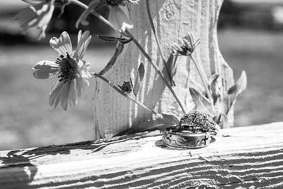 IMG_7499_1